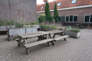 Twee houten picknicktafels op een schoolplein bij het Gedempt Hamerkanaal, omringd door plantenbakken met groen.